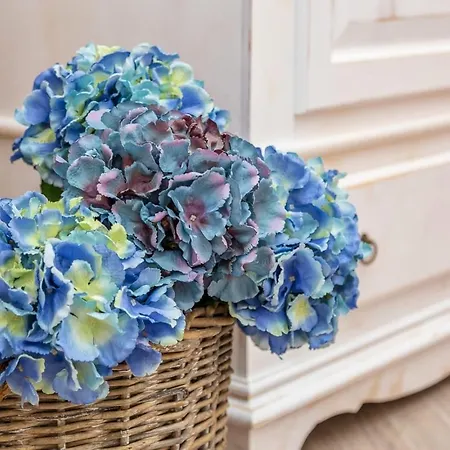 ベッド・アンド・ブレックファスト Da Chiara