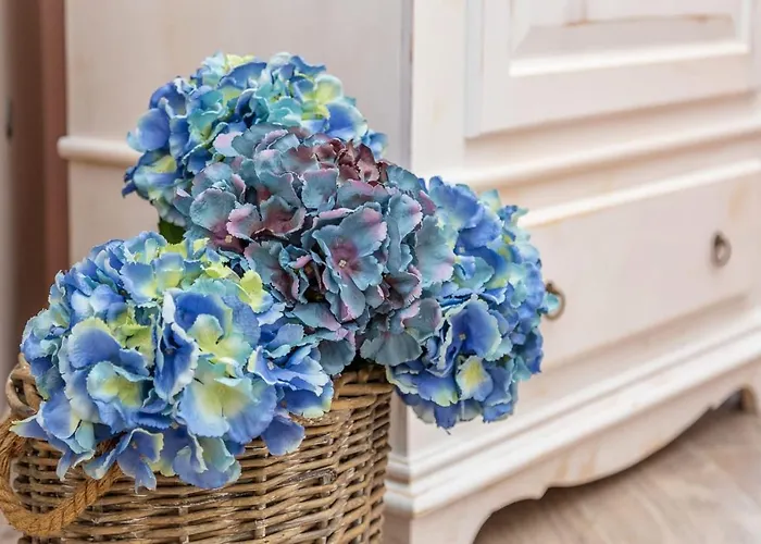 Bed & Breakfast Da Chiara